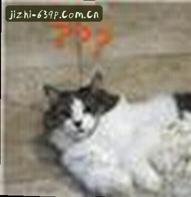 刘洋